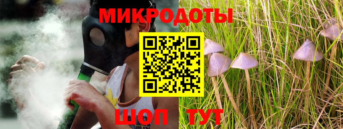 Галлюциногенные грибы Psilocybine cubensis Новый Уренгой