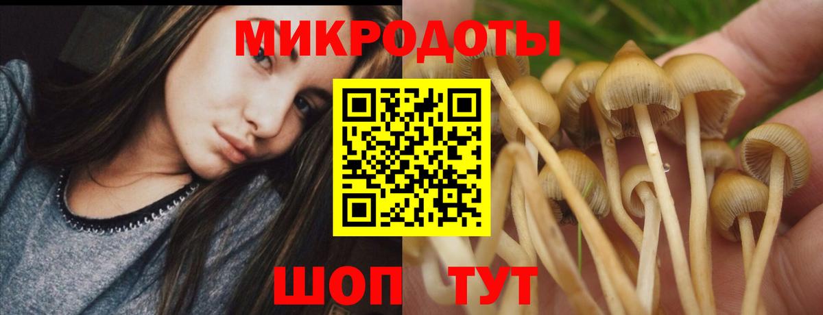 Новый Уренгой  Псилоцибиновые грибы MAGIC MUSHROOMS  Вход с VPN 